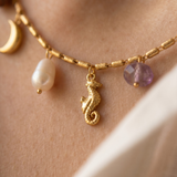 Seahorse and Natural Stone Necklace Set